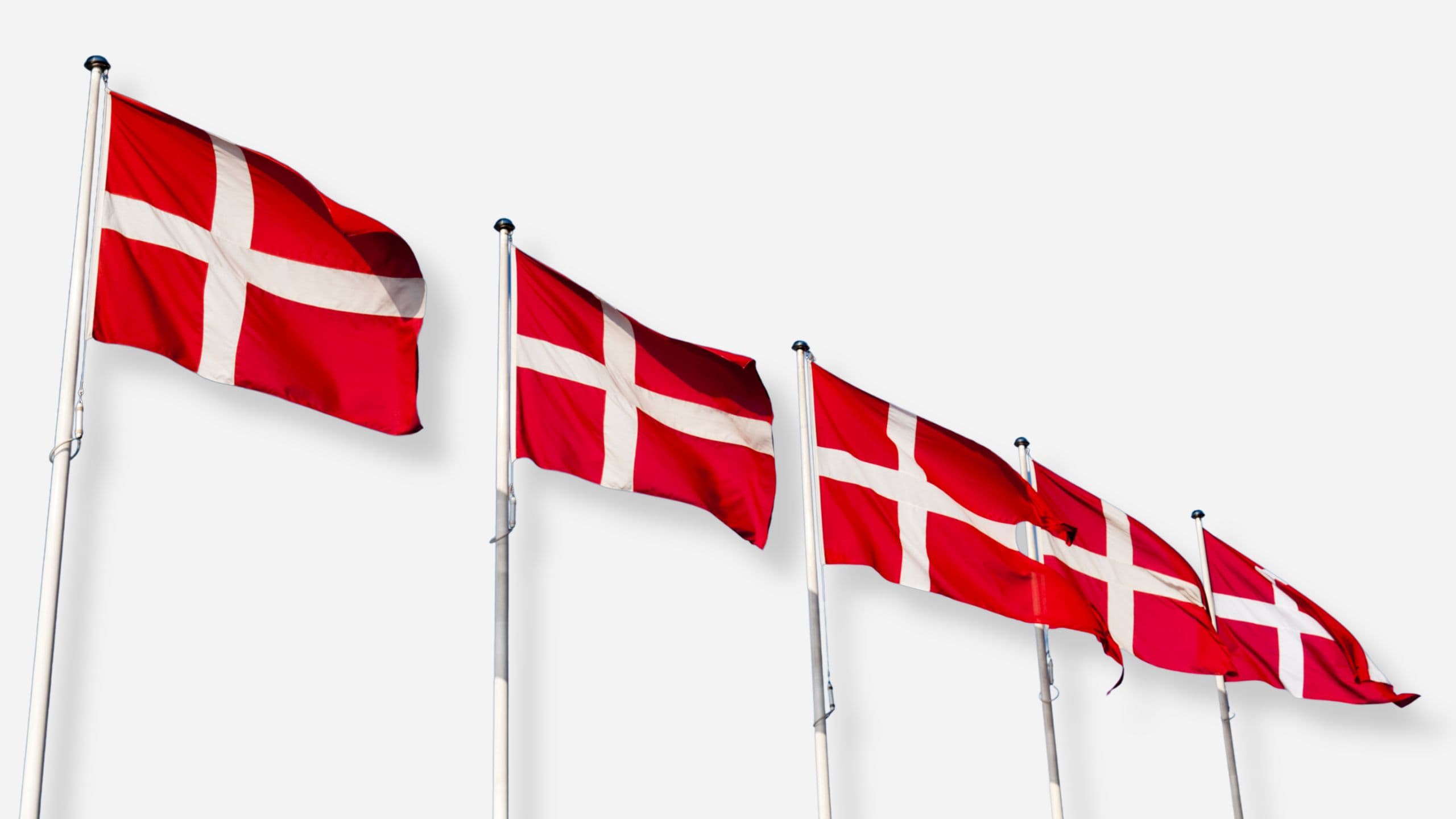Fem danske flag, der vajer på høje stænger foran en hvid baggrund, og som symboliserer en rabat på danske flag. Få rabat hos dahls Flagfabrik